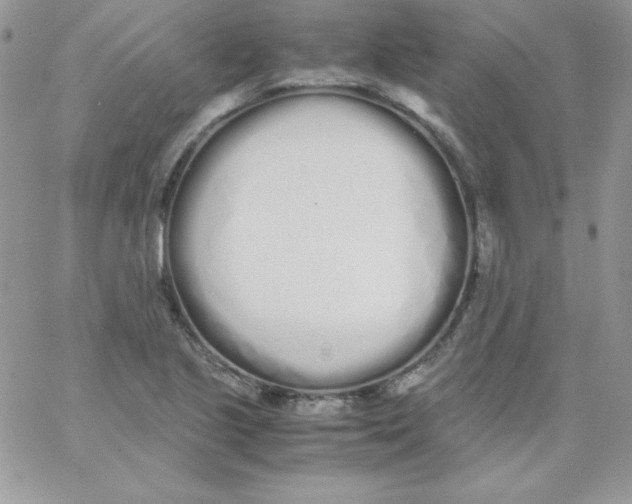 X0000062901221200602031824