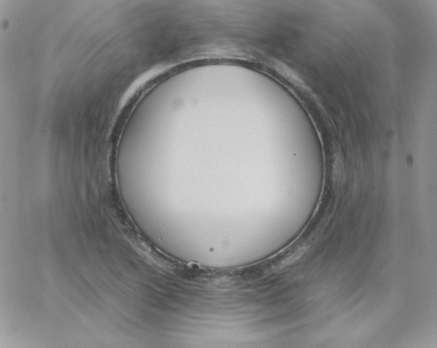 X0000062901222200602031824