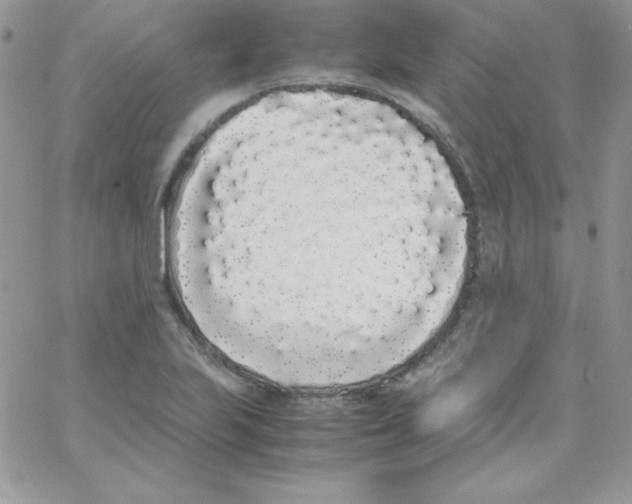 X0000062901223200602031824