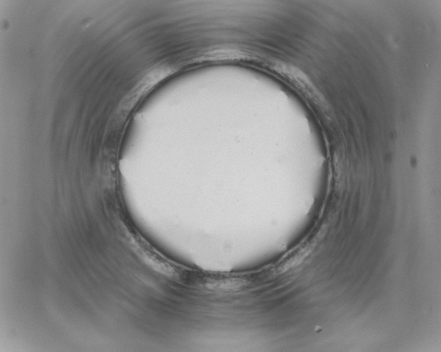 X0000062901225200602031824