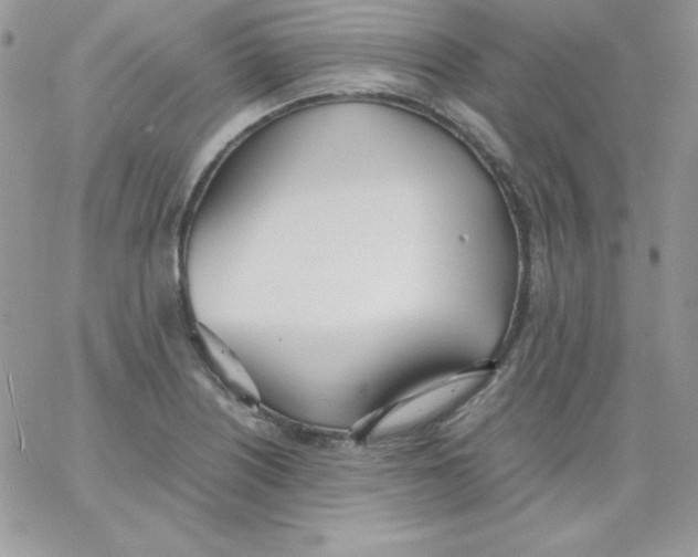 X0000062901226200602031824