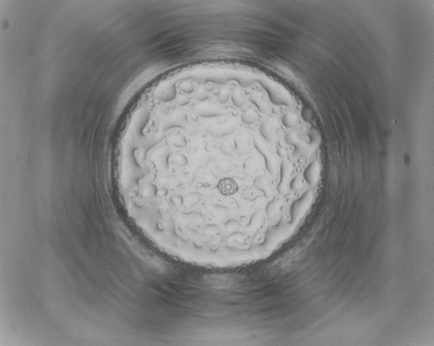 X0000062901227200602031824