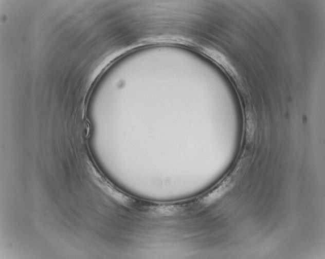 X0000062901228200602031824