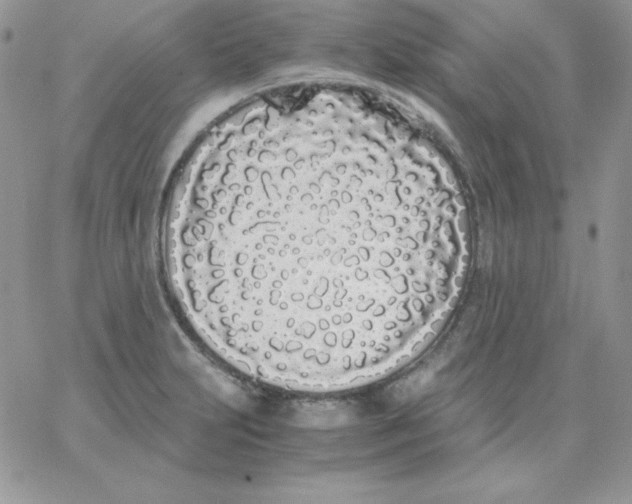 X0000062901231200602031824