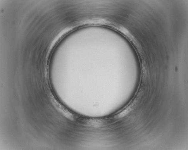 X0000062901232200602031824