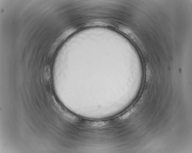 X0000062901233200602031824