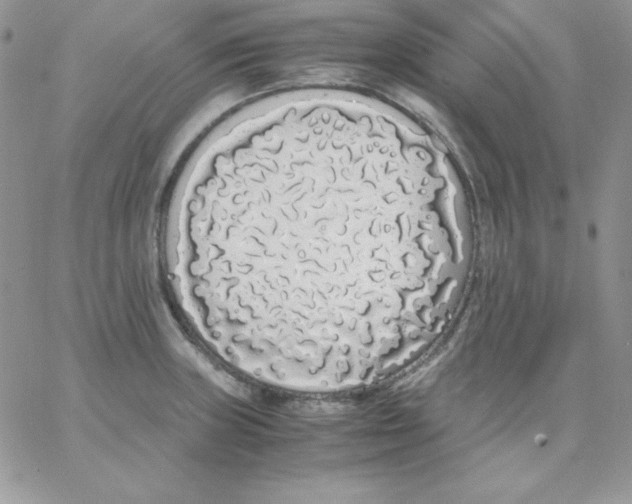 X0000062901235200602031824