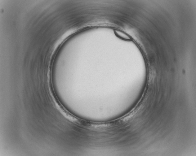 X0000062901237200602031824