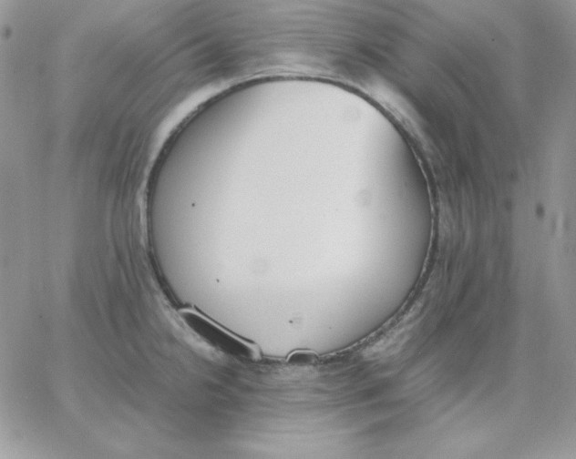 X0000062901238200602031824