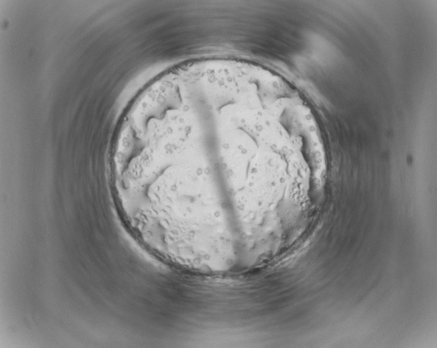 X0000062901239200602031824