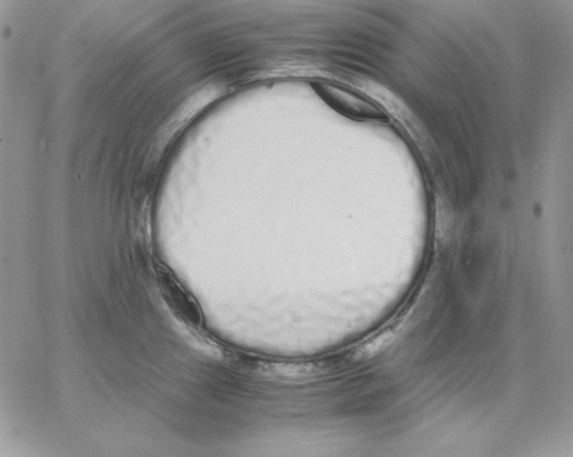 X0000062901241200602031824