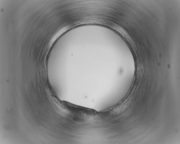 X0000062901242200602031824