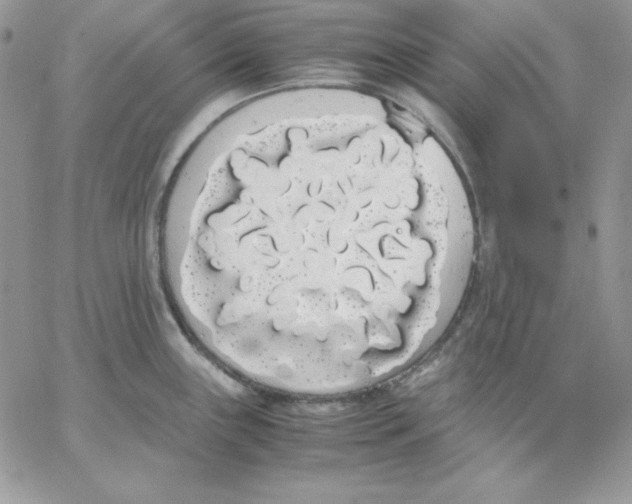 X0000062901243200602031824