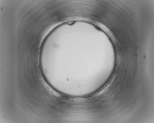 X0000062901244200602031824