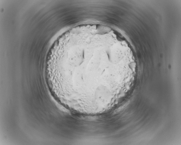 X0000062901245200602031824