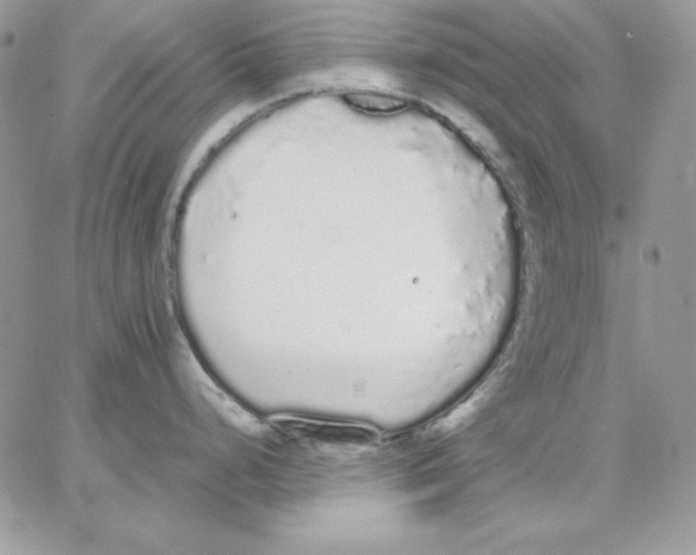 X0000062901248200602031824