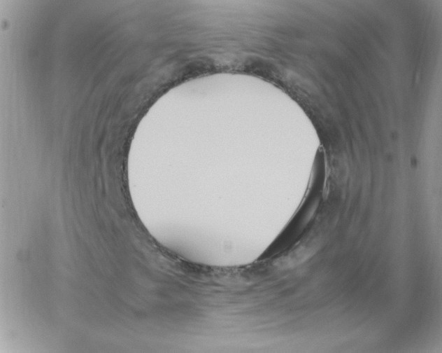 X0000062901249200602031823