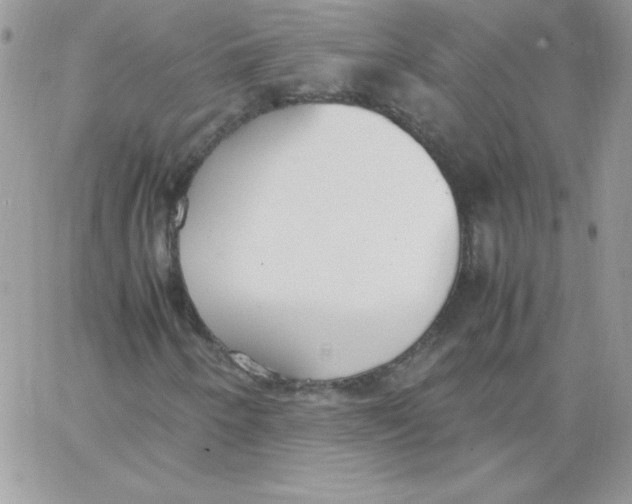 X0000062901250200602031823