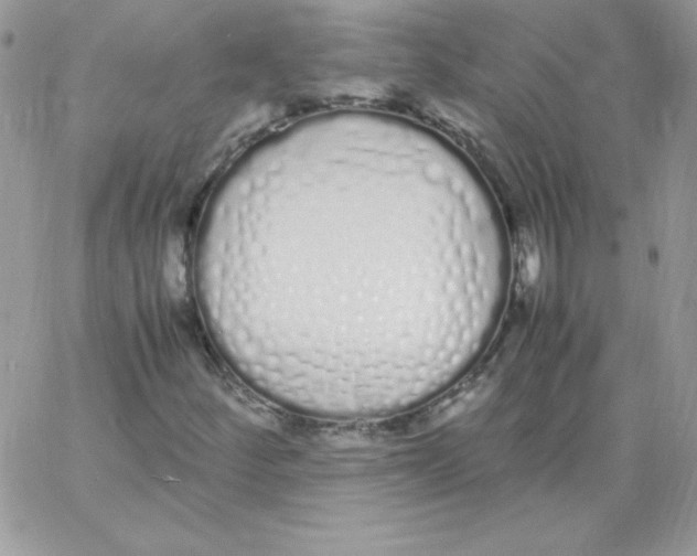 X0000062901252200602031823