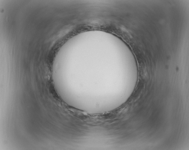 X0000062901253200602031823