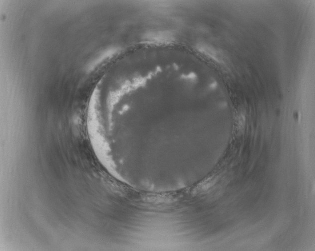 X0000062901254200602031823