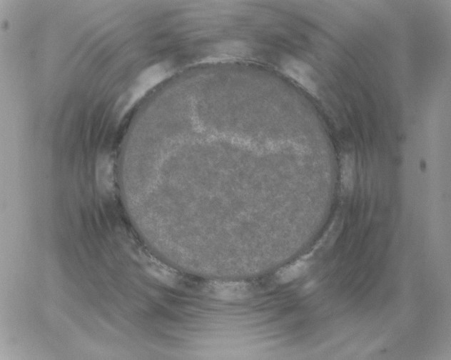 X0000062901258200602031823