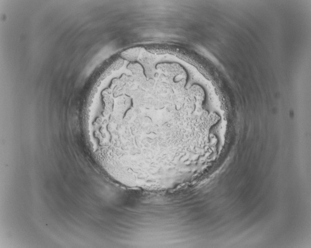 X0000062901259200602031823