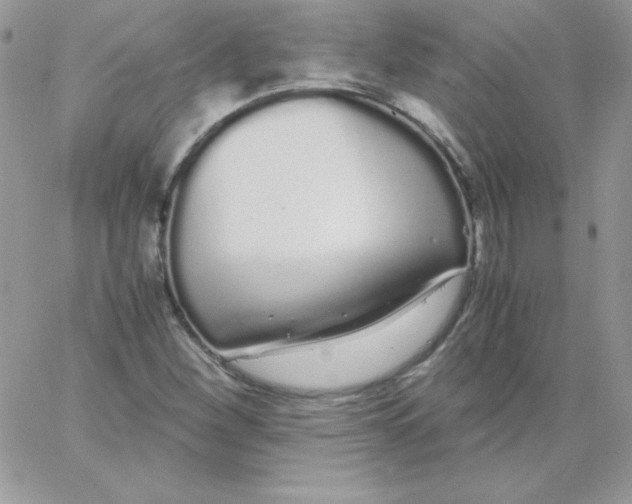 X0000062901260200602031823