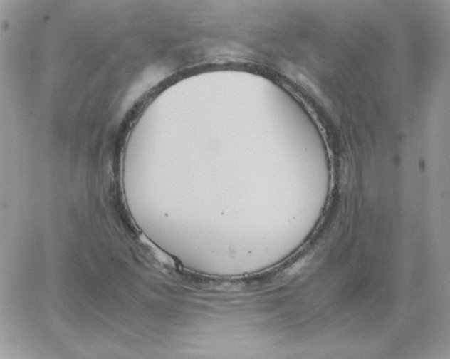 X0000062901261200602031823