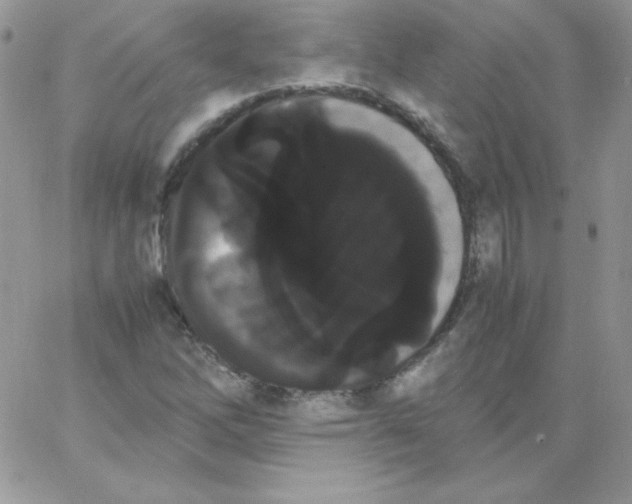 X0000062901262200602031823