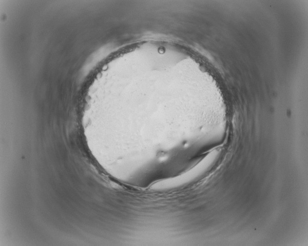 X0000062901263200602031823