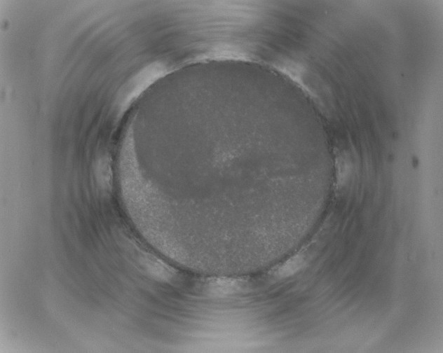 X0000062901266200602031823