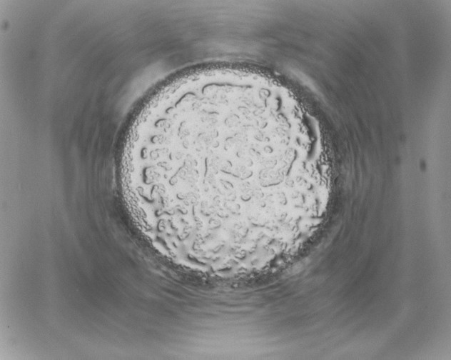 X0000062901267200602031823