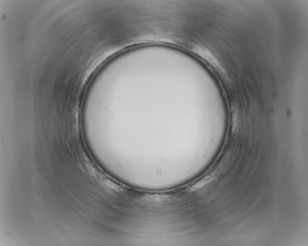 X0000062901268200602031823