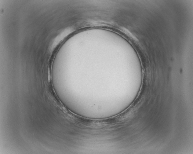 X0000062901269200602031823