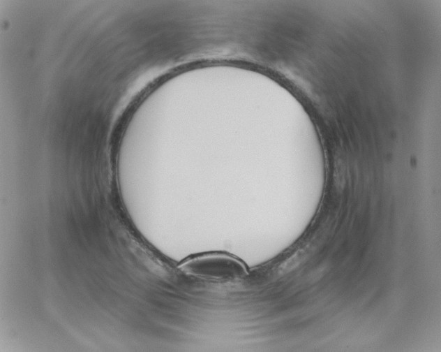 X0000062901270200602031823