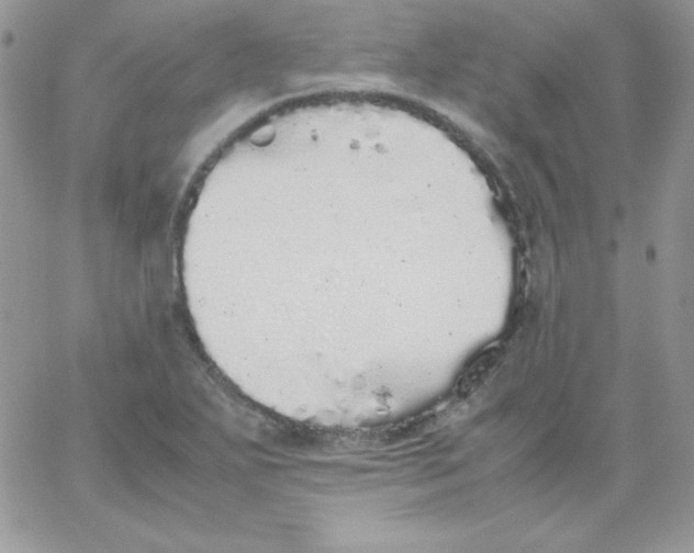 X0000062901271200602031823