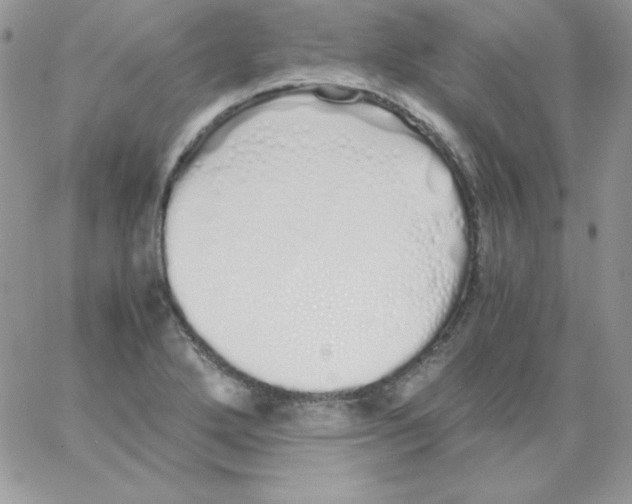 X0000062901272200602031823