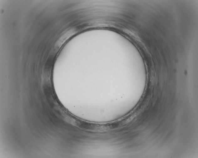 X0000062901273200602031823