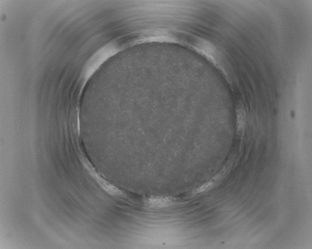 X0000062901274200602031823