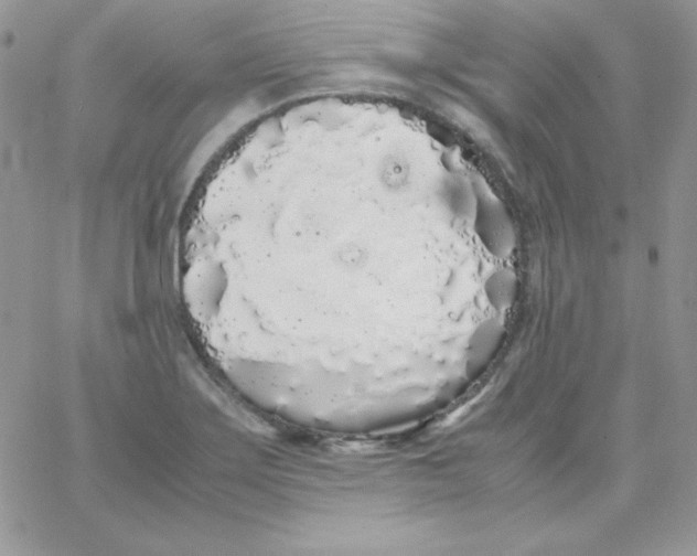 X0000062901275200602031823