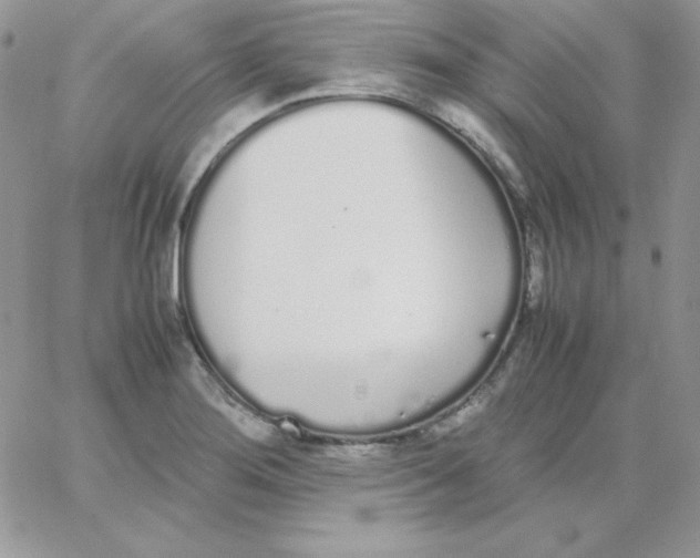 X0000062901276200602031823