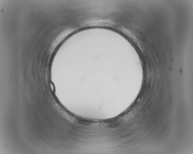 X0000062901277200602031823