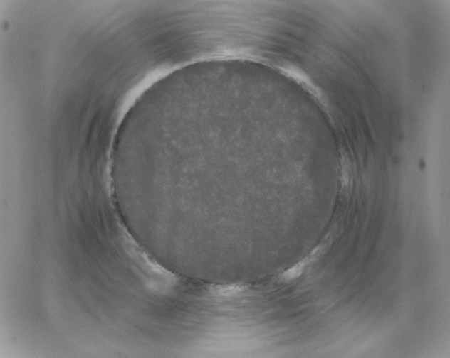 X0000062901278200602031823