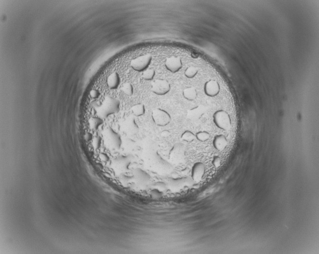 X0000062901279200602031823