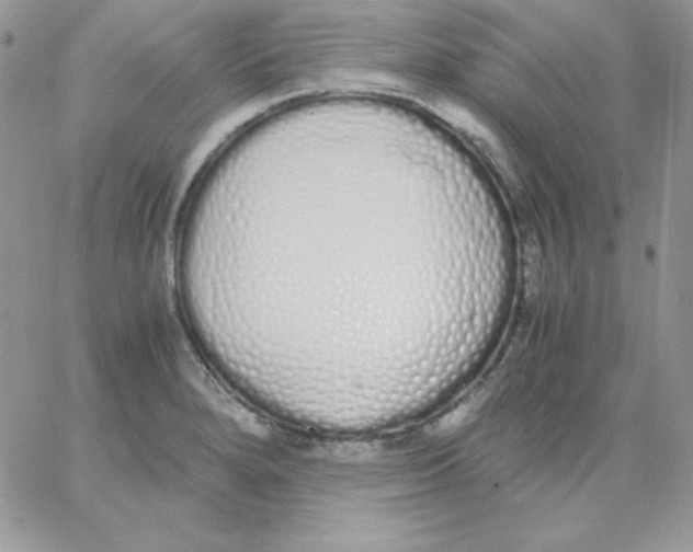 X0000062901280200602031823