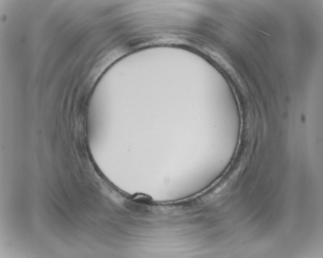 X0000062901281200602031823