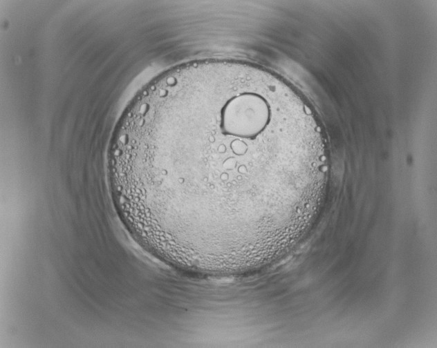 X0000062901283200602031823