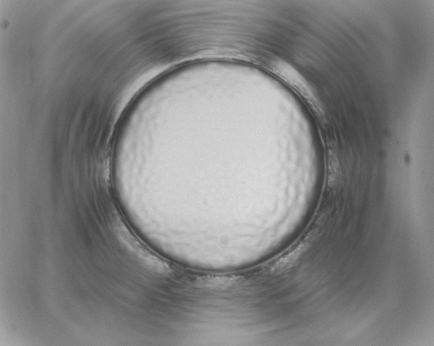 X0000062901284200602031823