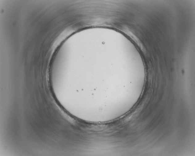 X0000062901285200602031823